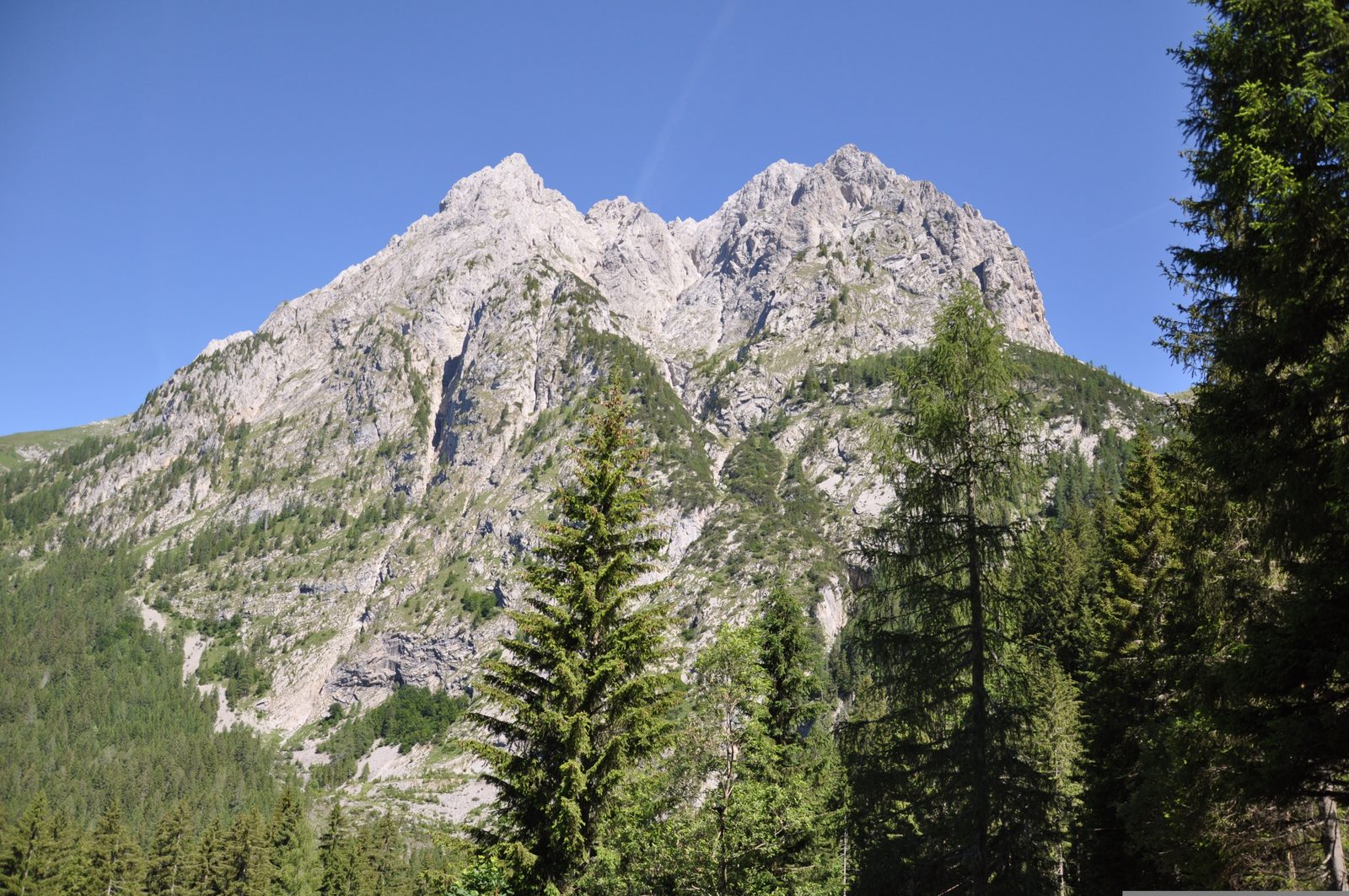 Il Monte Coglians